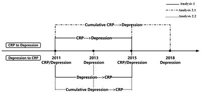 Bidirectional relationship between C-reactive protein and depressive symptoms considering cumulative effect among Chinese middle-aged and older adults